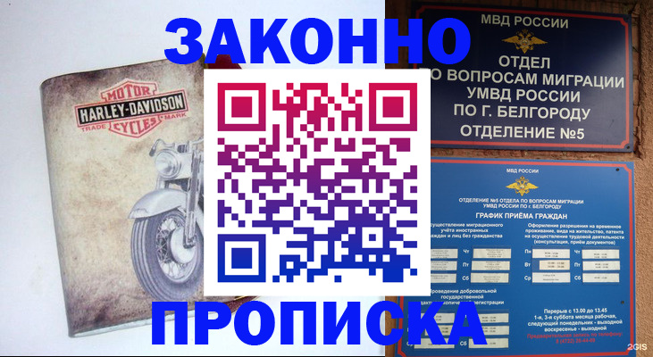 прописка для школы в Похвистнево